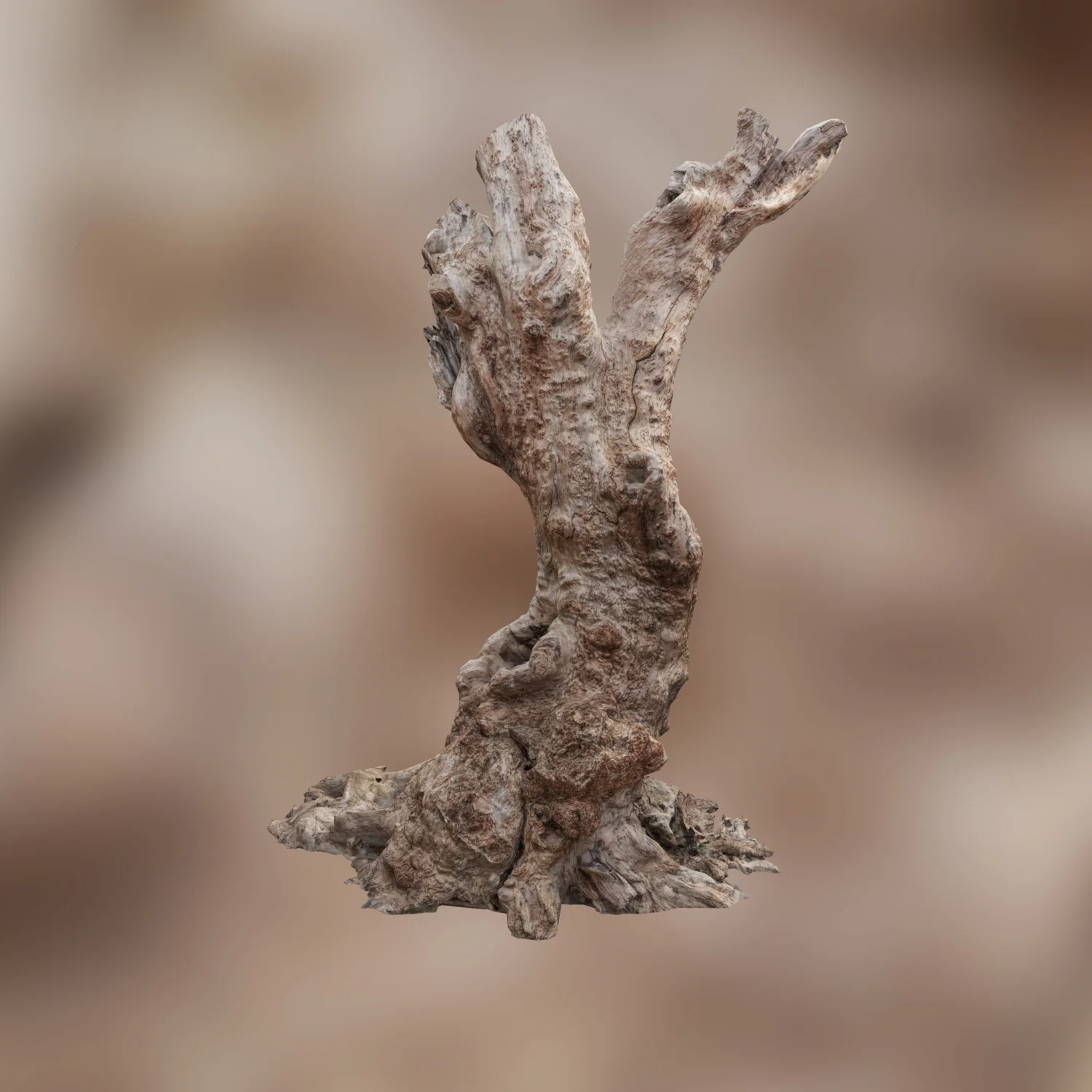 Desolate Plains screenshot 5