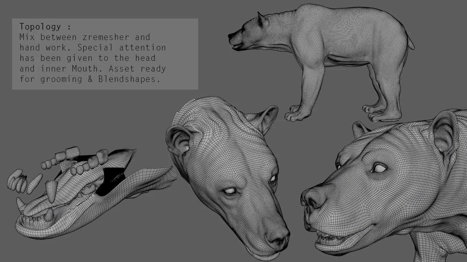 Digital Grizzly Anatomy Model screenshot 6