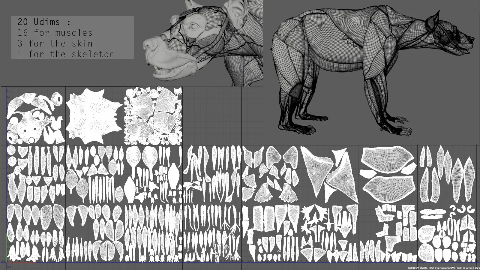 Digital Grizzly Anatomy Model screenshot 7