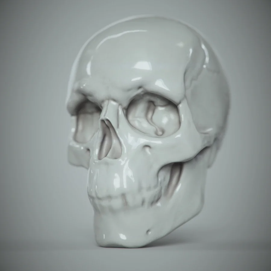 Digital Sculpting Workshop: Human Skull screenshot 3