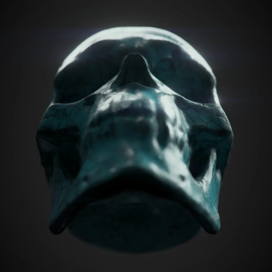 Digital Sculpting Workshop: Human Skull screenshot 4