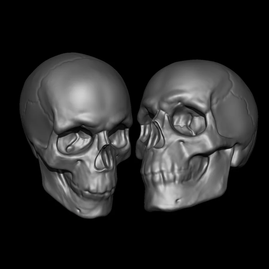 Digital Sculpting Workshop: Human Skull screenshot 5