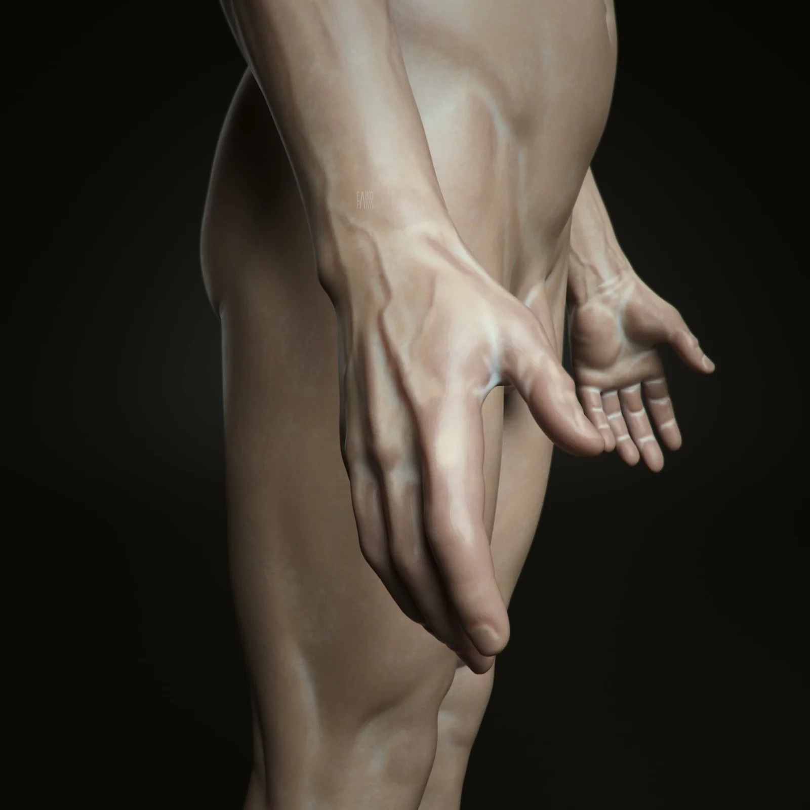 Digital Sculpting: Male Body screenshot 5