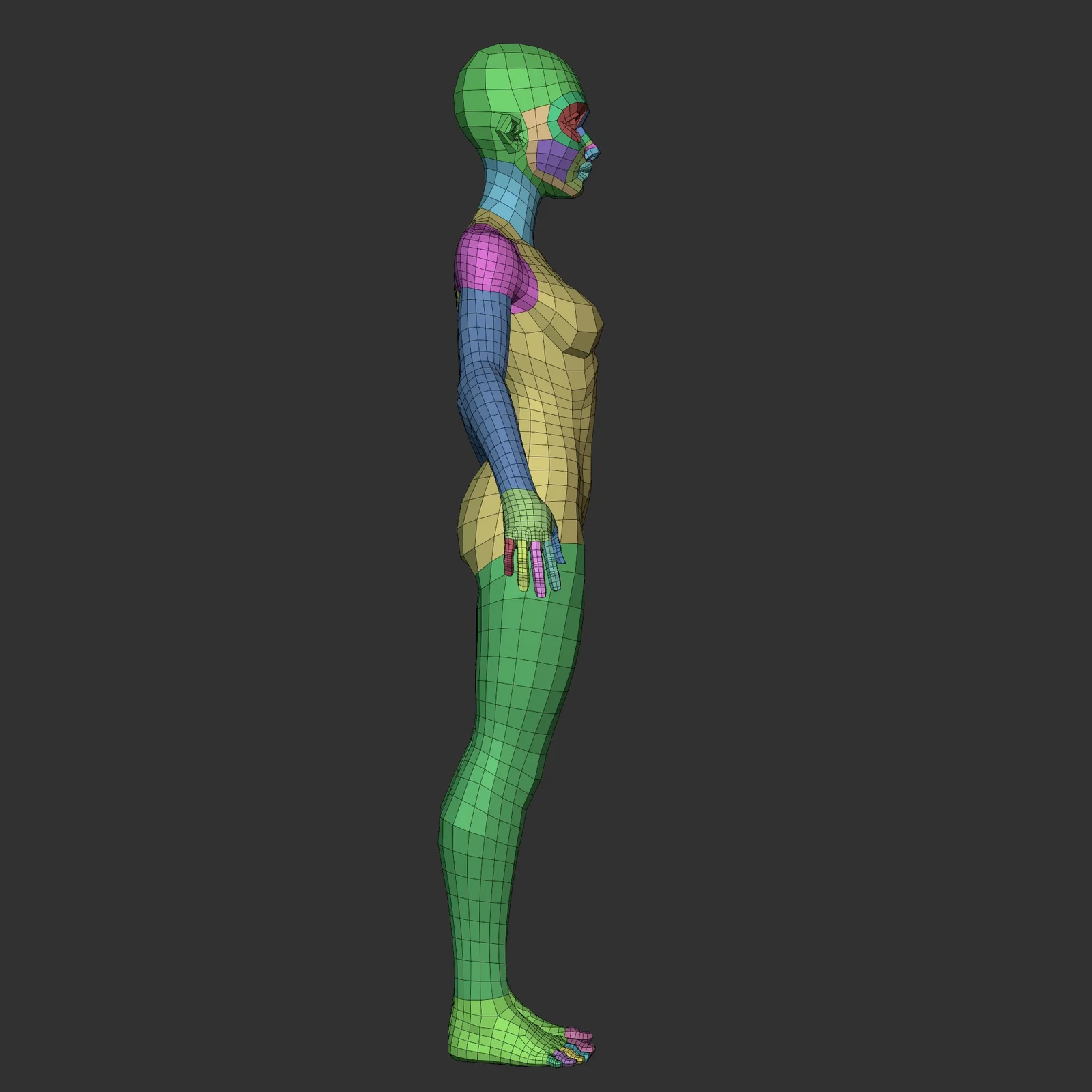 Disney Female Lowpoly Basemesh screenshot 4