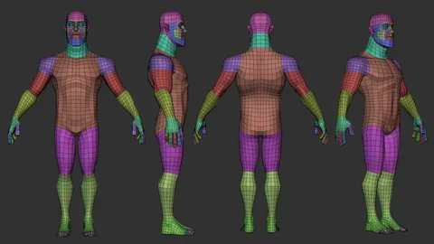 Disney Male Lowpoly Basemesh - Blender 3d models