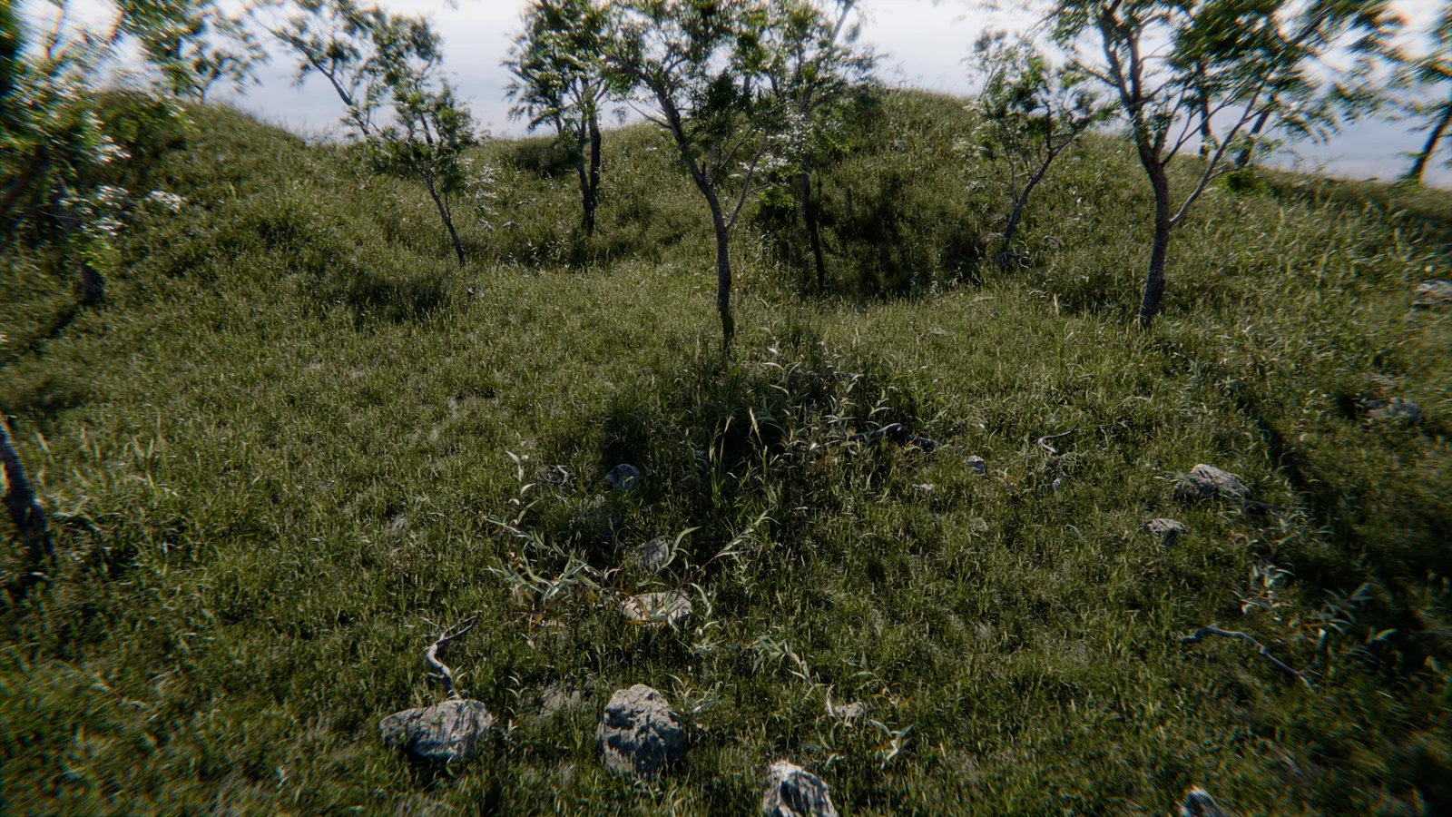 DrawScatter screenshot 4