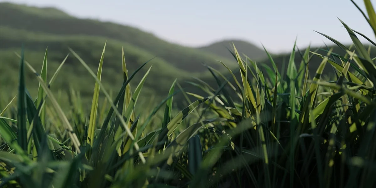 DripsLeaves Plant Generator screenshot 6