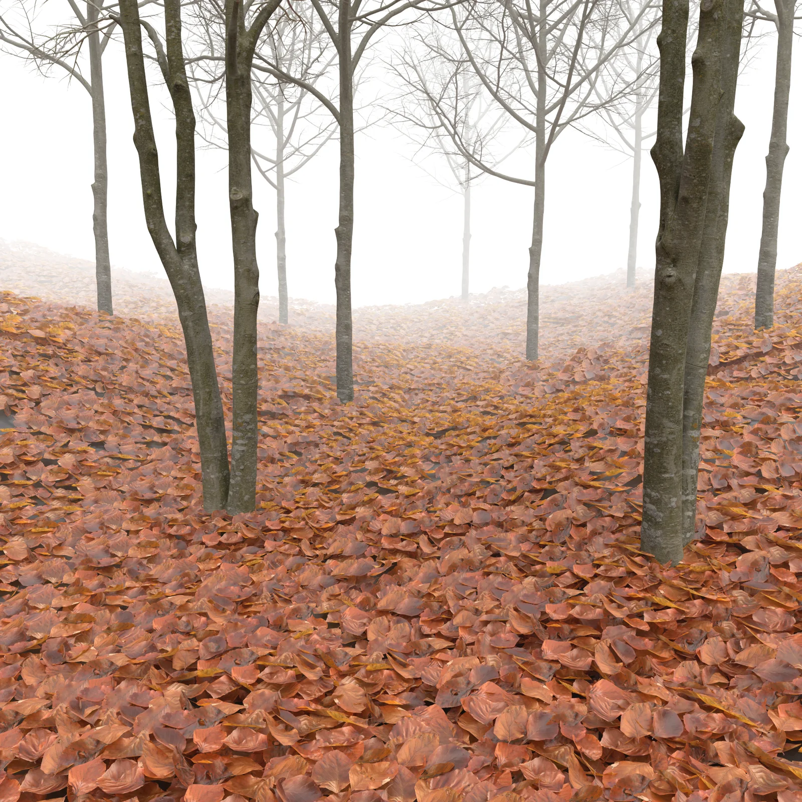 Dry Beech Leaves Pack screenshot 2