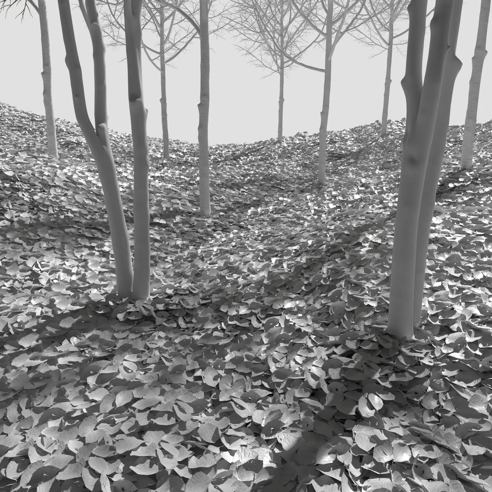 Dry Beech Leaves Pack screenshot 3