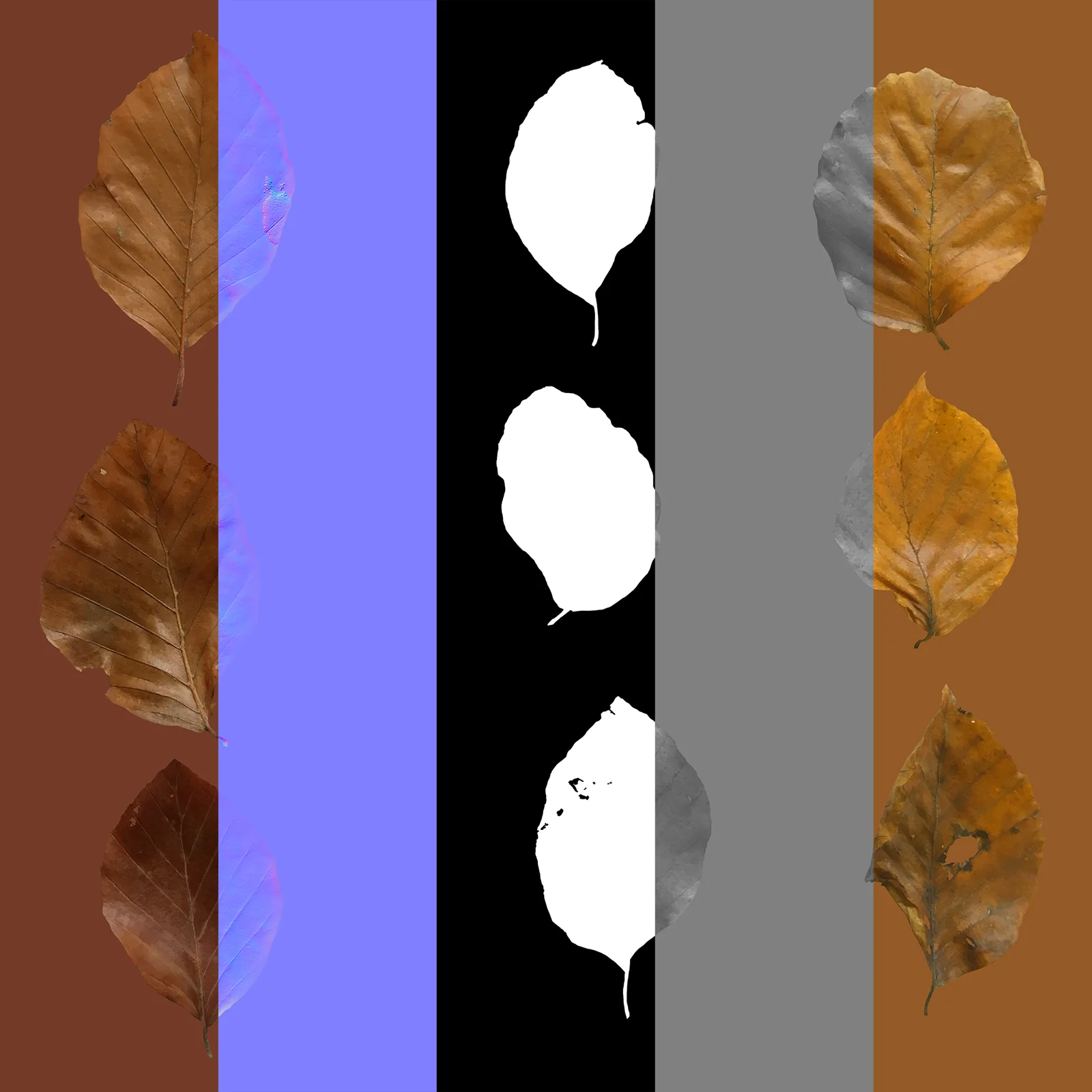 Dry Beech Leaves Pack screenshot 7