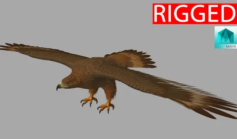 Eagle Rig - Blender 3d models
