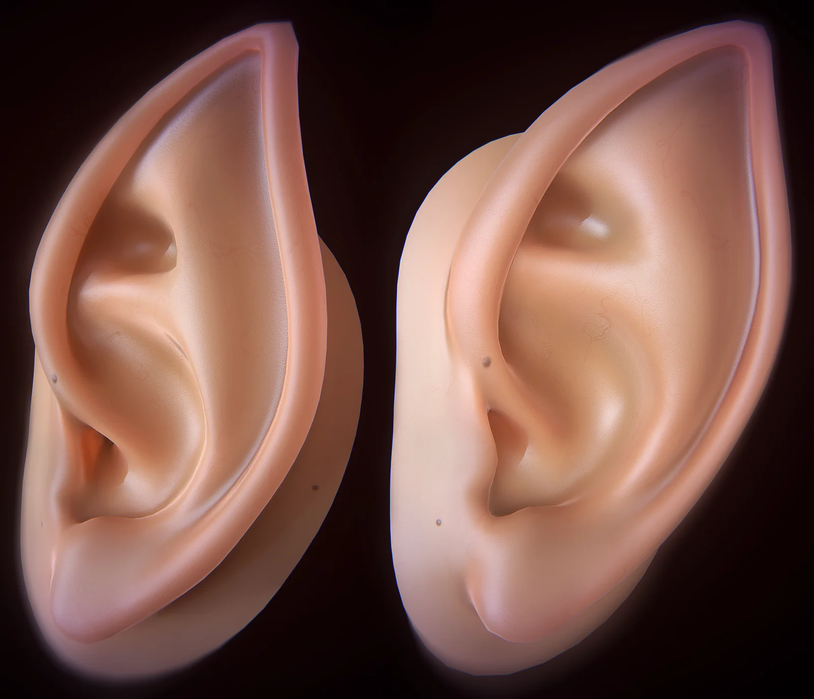 Rigged Ear screenshot 2