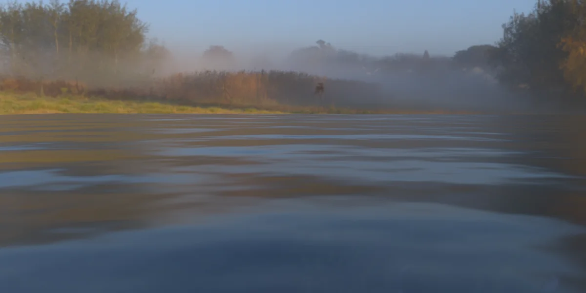 Easy Ocean screenshot 3