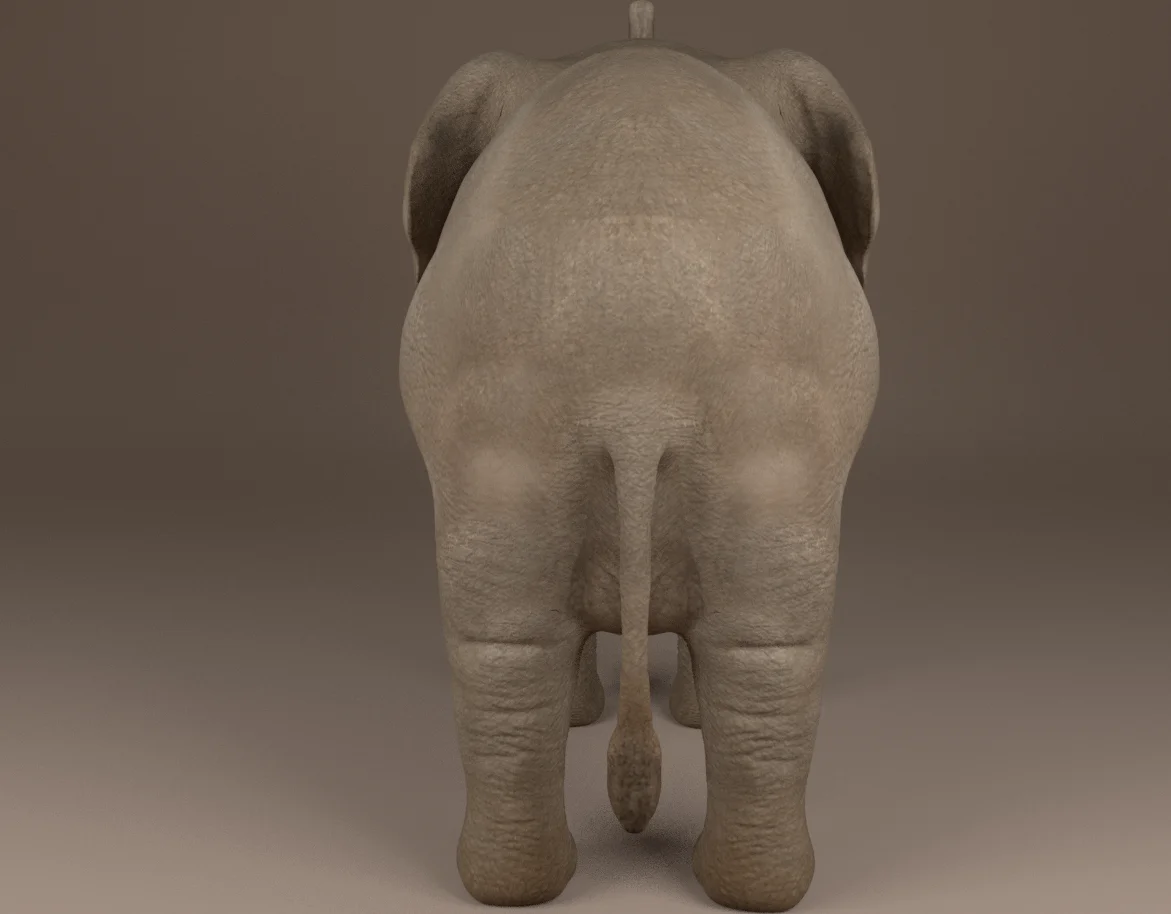 Elephant screenshot 3