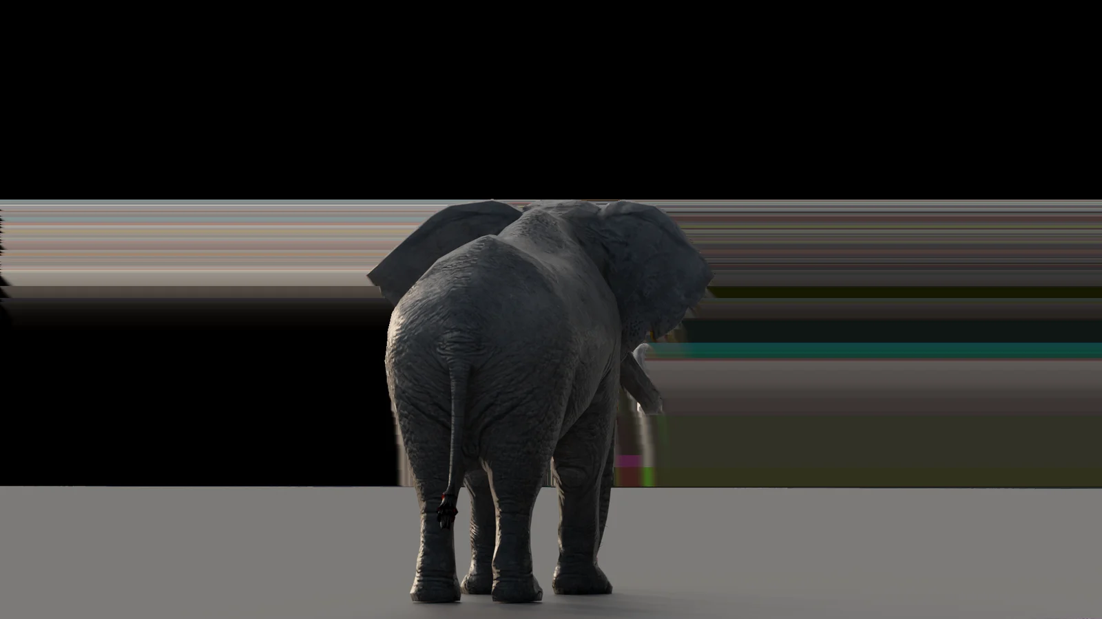 Elephant screenshot 3