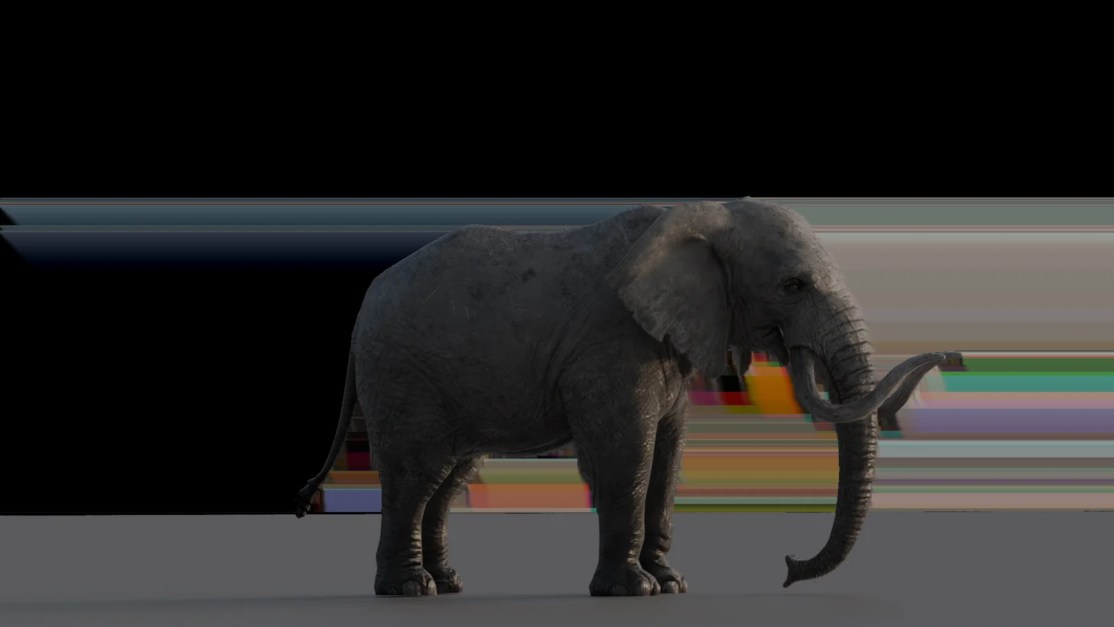 Elephant screenshot 4