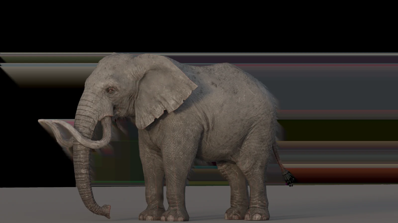 Elephant screenshot 5