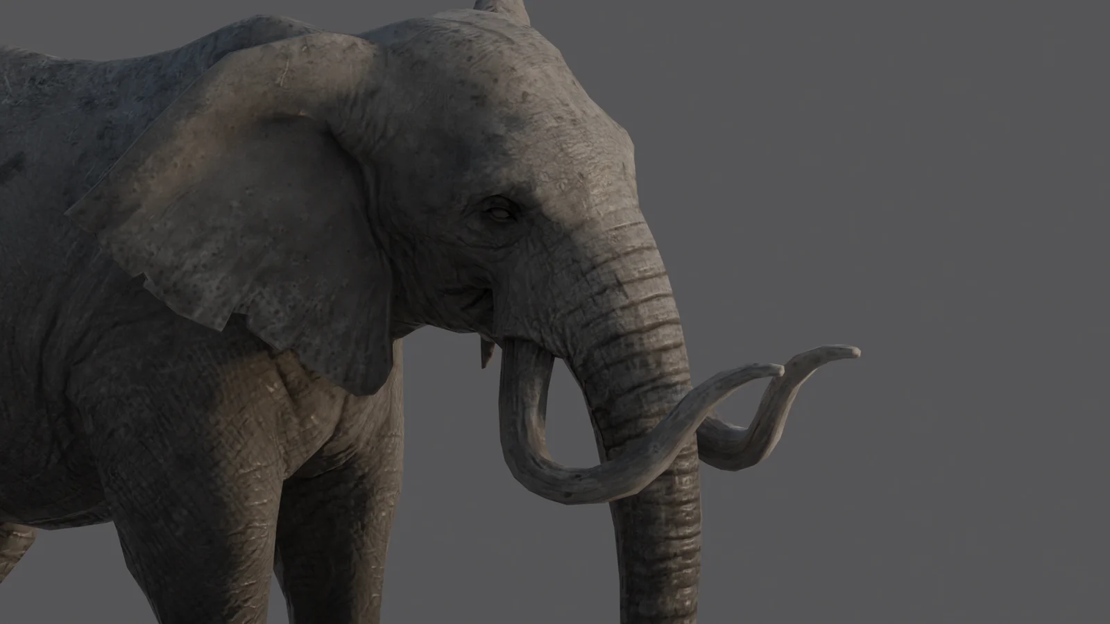 Elephant screenshot 7