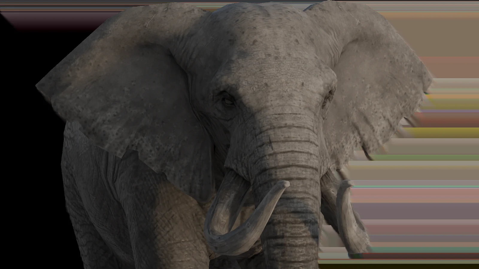 Elephant screenshot 8