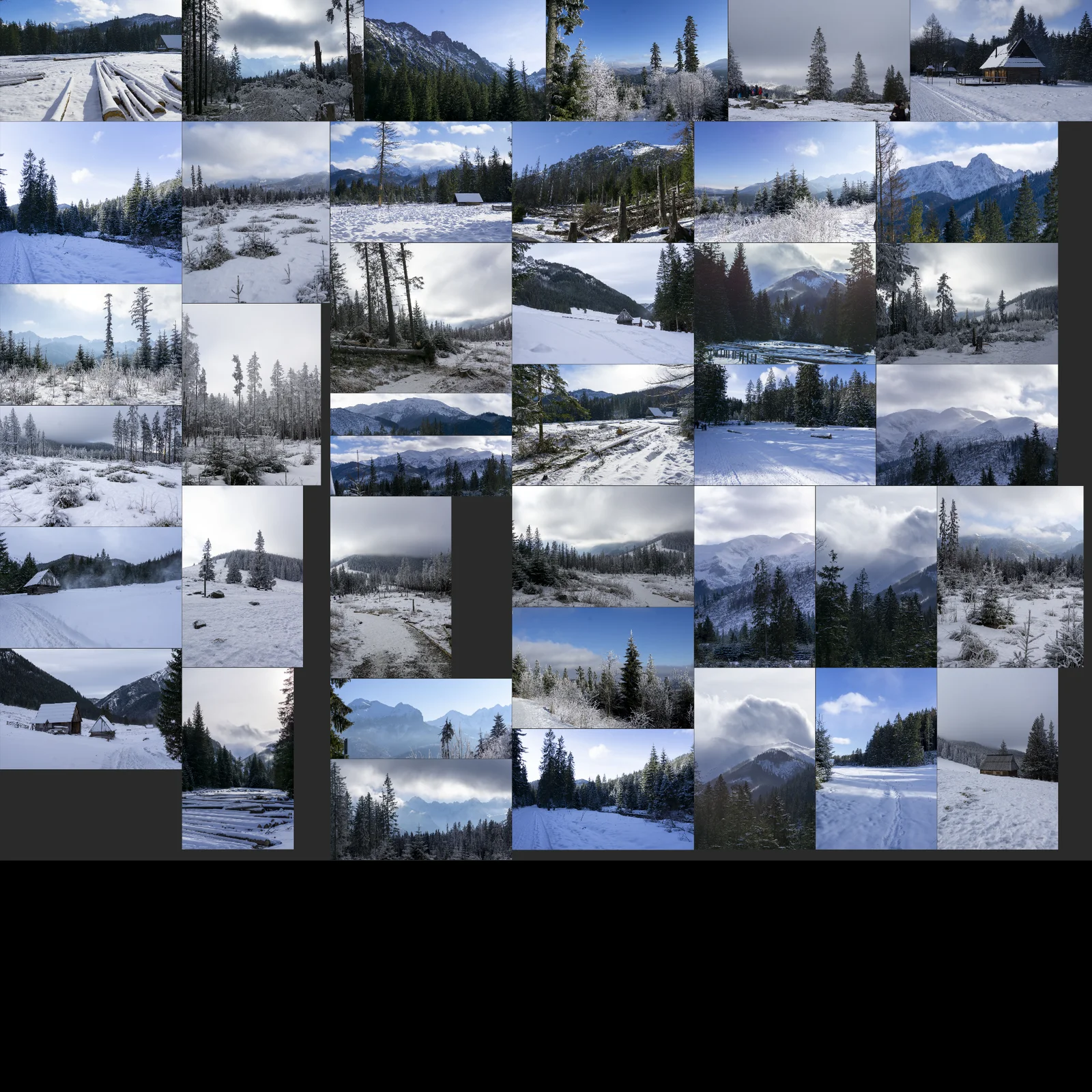 Environment Painting And Animation screenshot 4