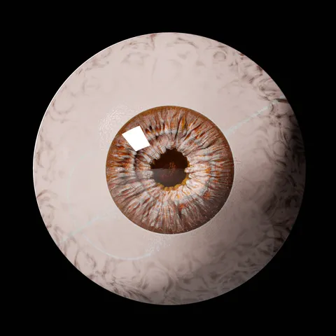 Eye - Blender 3d models