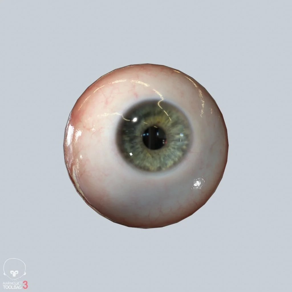 Realistic Eyeball screenshot 3