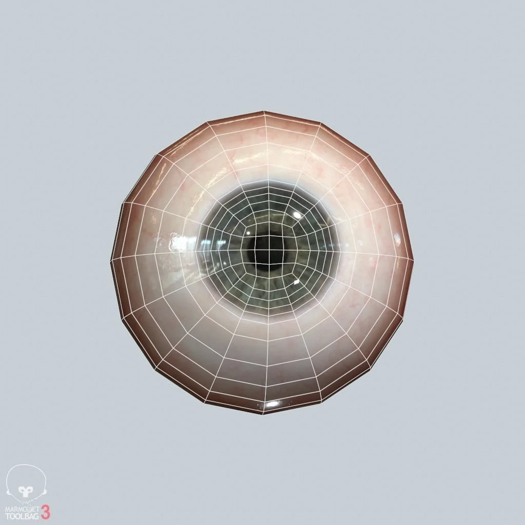 Realistic Eyeball screenshot 6