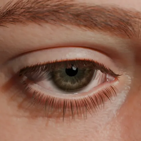 Eyelash Generator - Blender geometry nodes