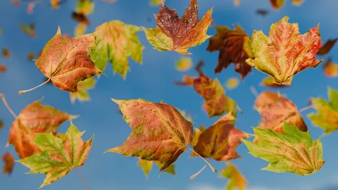 Falling Autumn Leaves - Blender scenes
