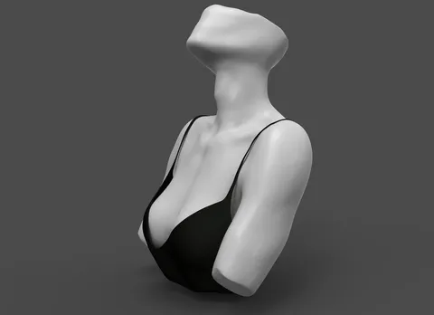 Female Chest Sculpt - Blender 3d models