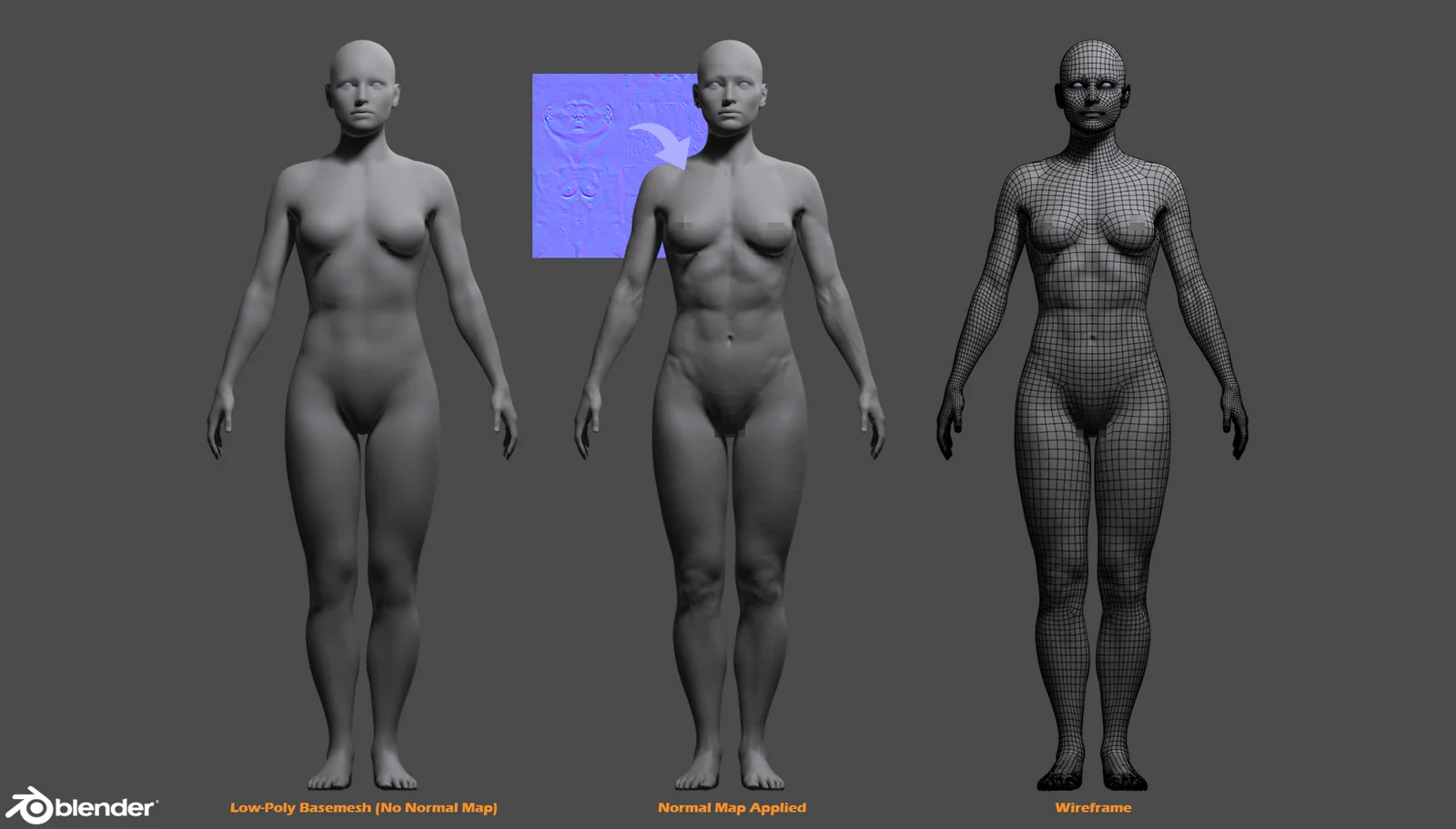 Female Custom Basemesh screenshot 4