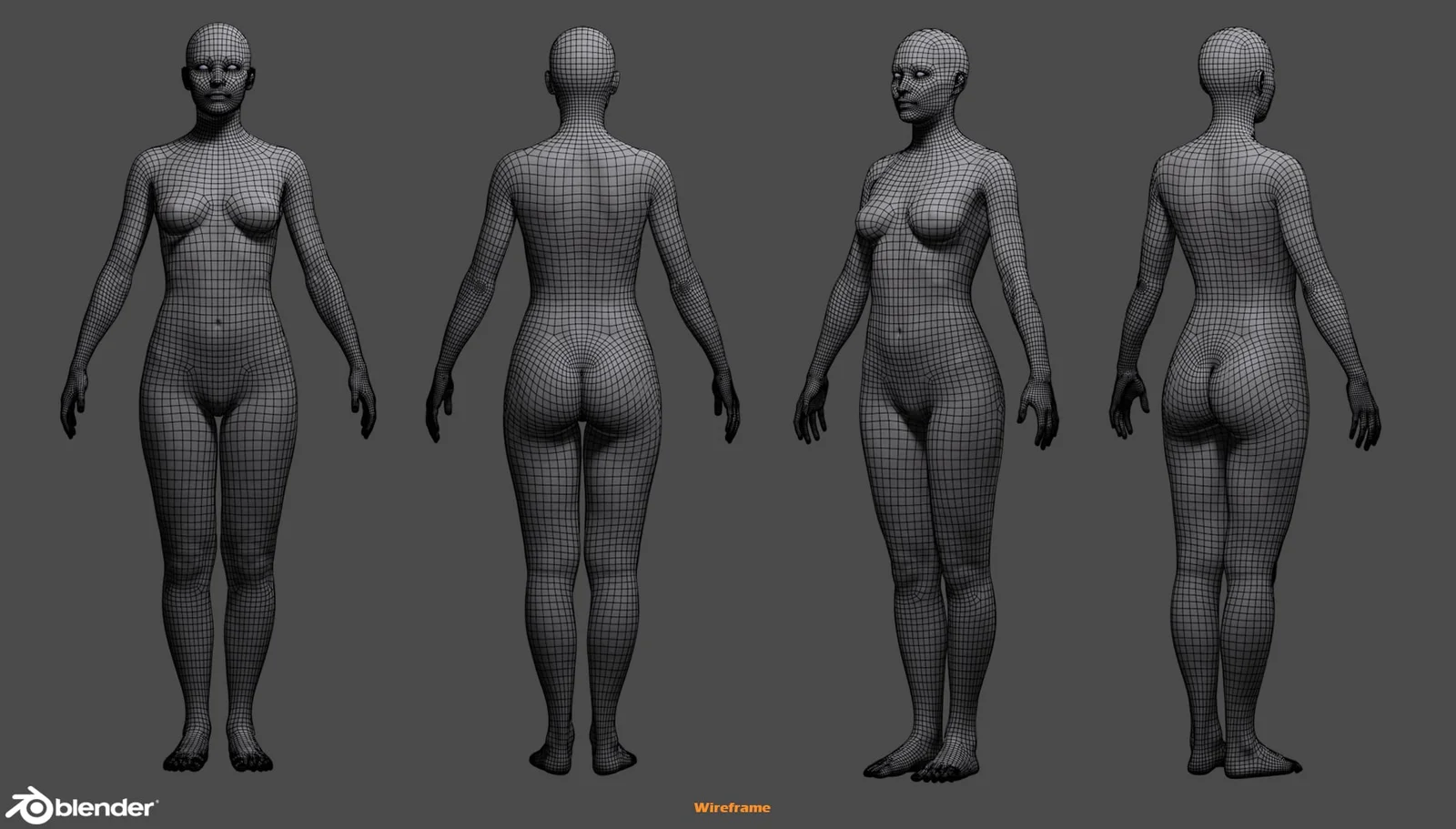 Female Custom Basemesh screenshot 8