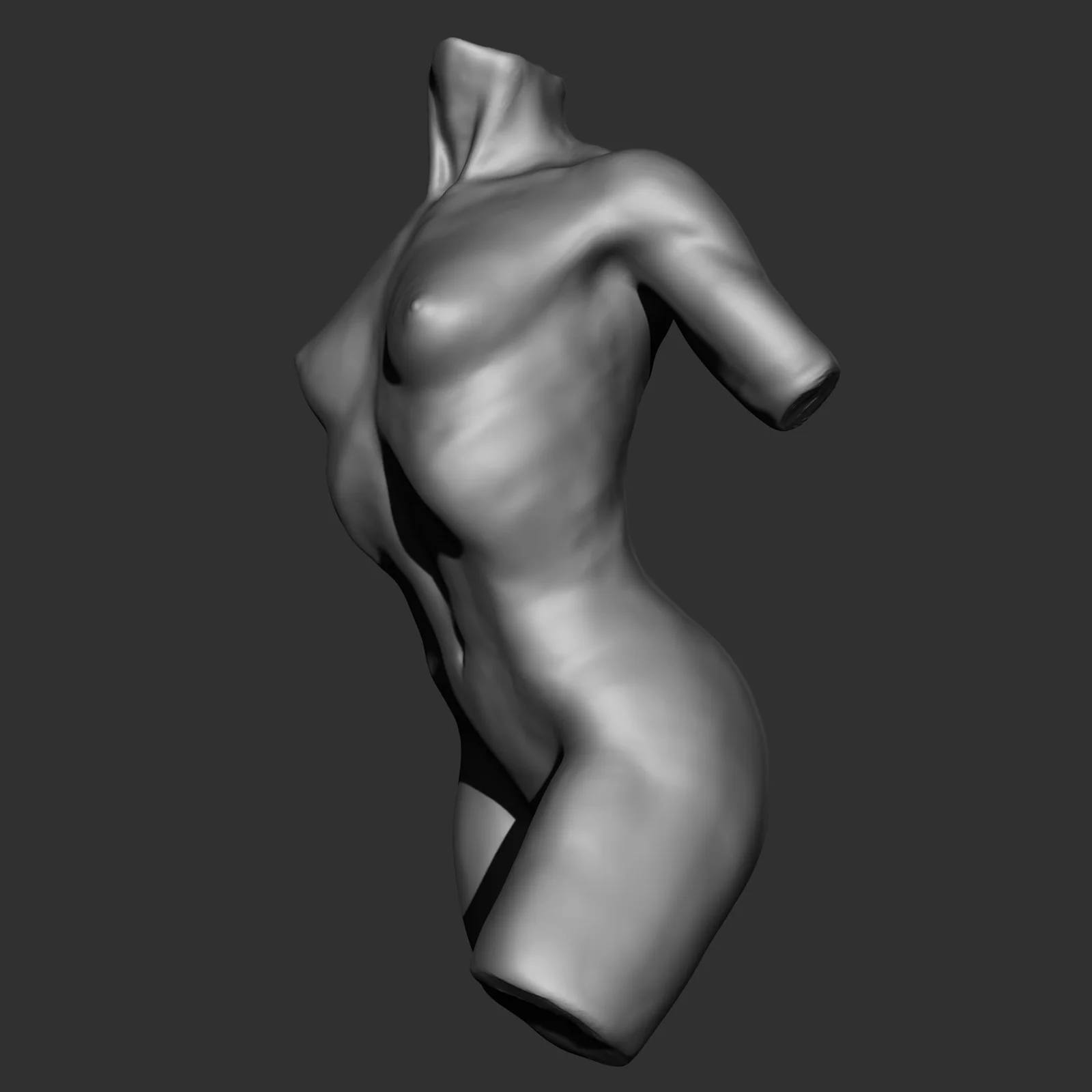Female Torso Anatomy Study screenshot 3