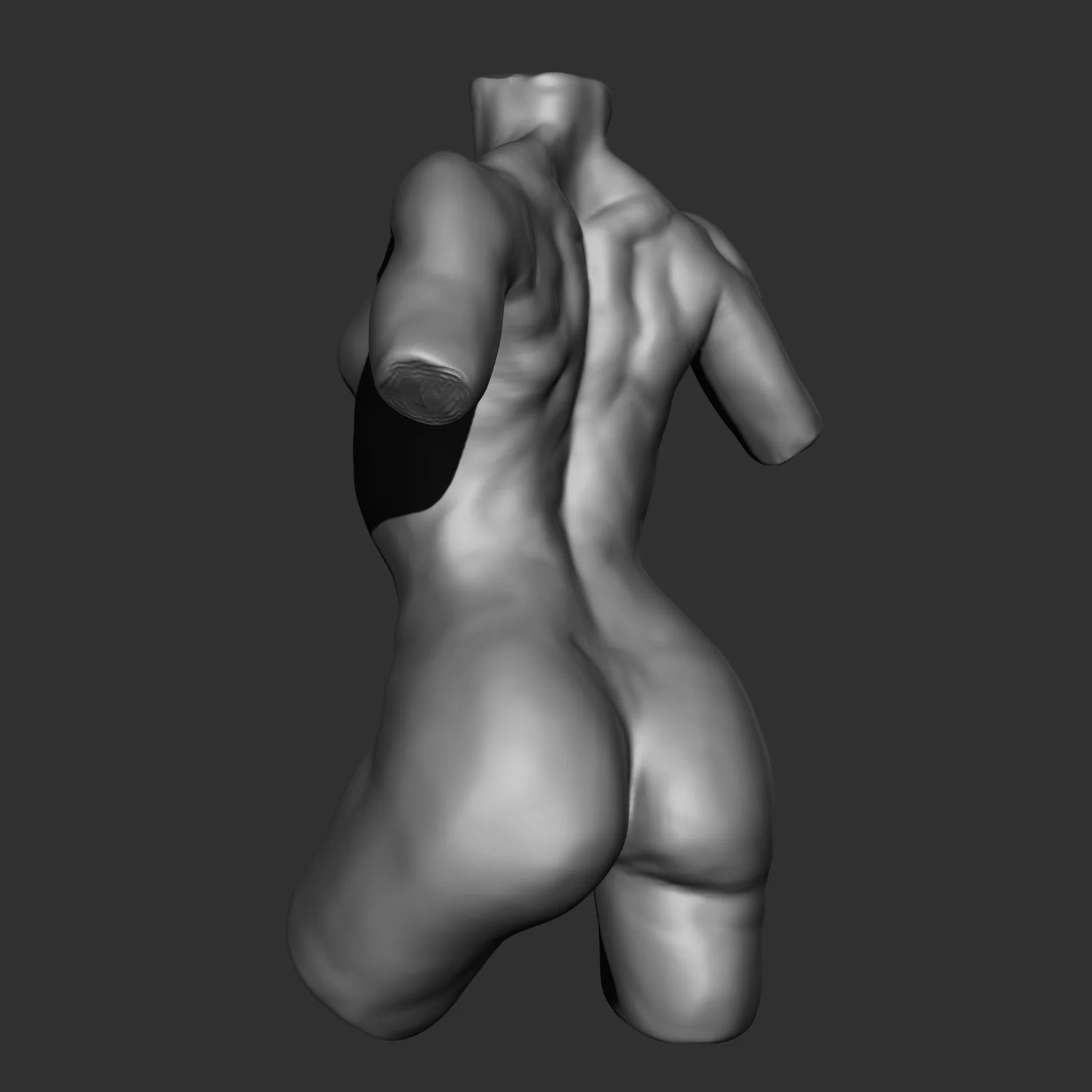 Female Torso Anatomy Study screenshot 4