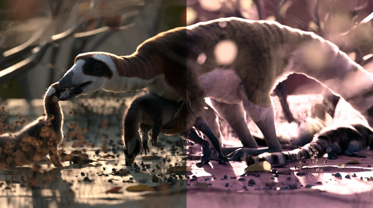 Final LUT screenshot 5