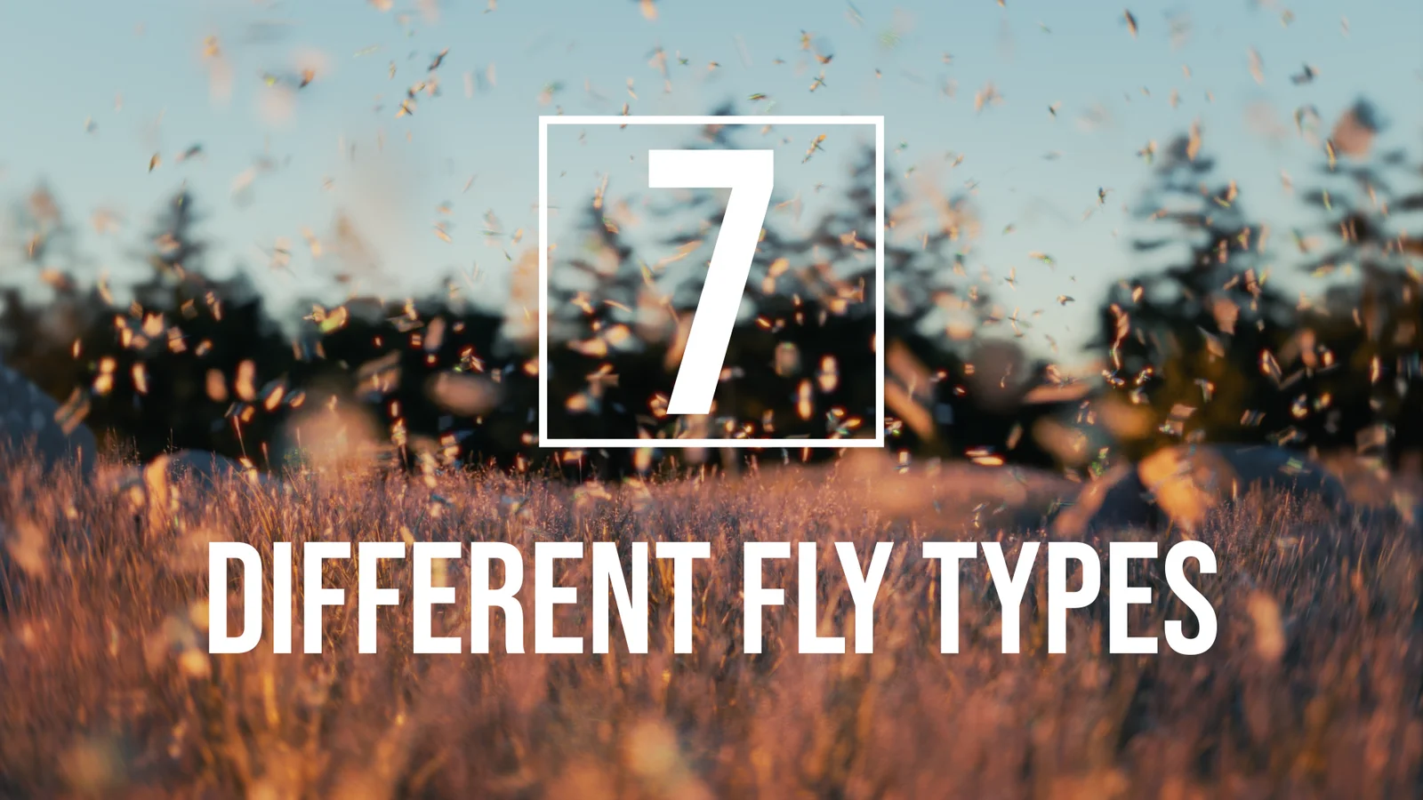 Fly Swarm screenshot 4