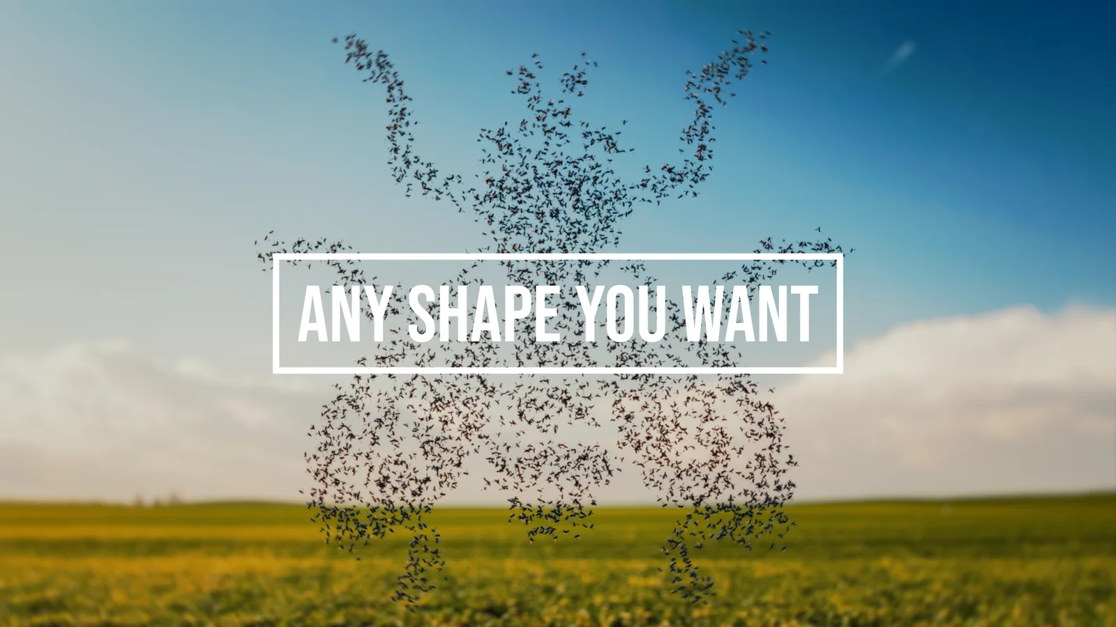 Fly Swarm screenshot 5