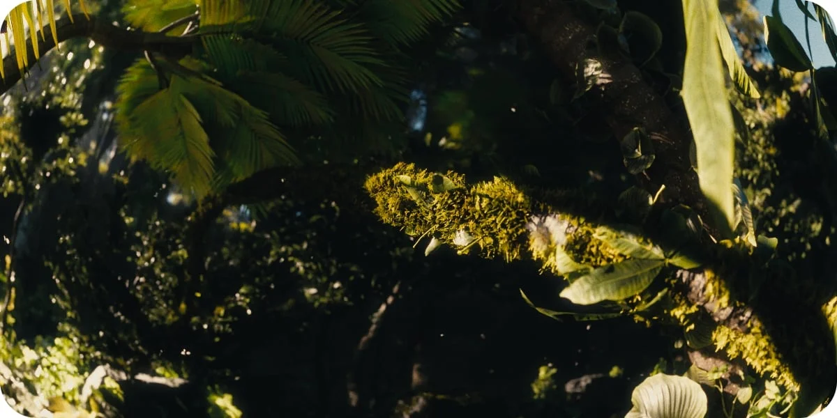 Forest Generator screenshot 6