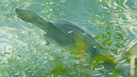 Pond Scene - Blender scenes