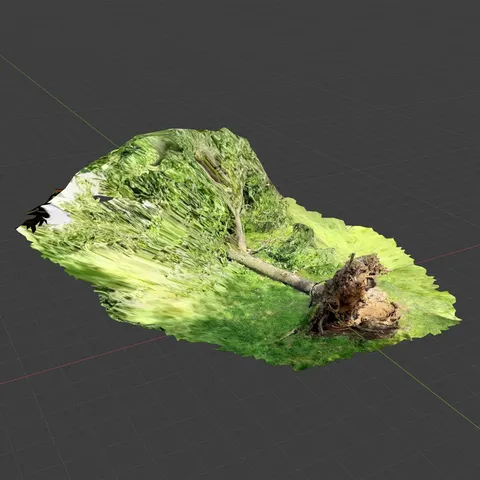 Fallen Tree Photoscan - Blender 3d models