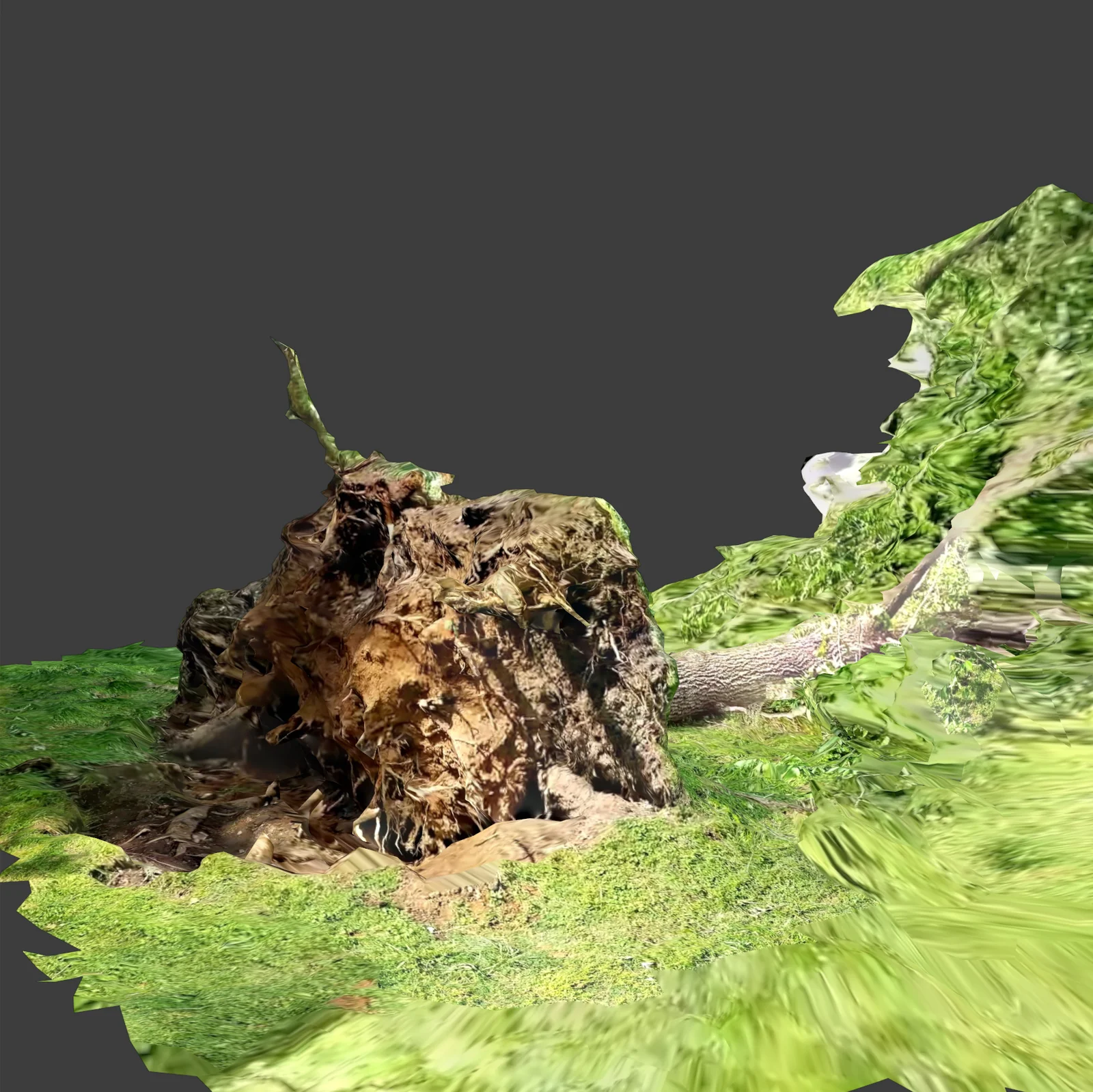 Fallen Tree Photoscan screenshot 3