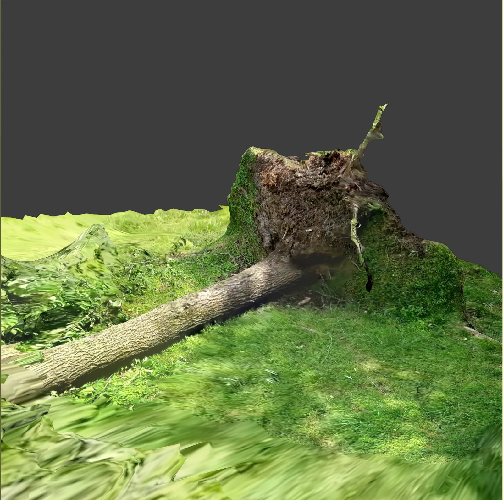 Fallen Tree Photoscan screenshot 4