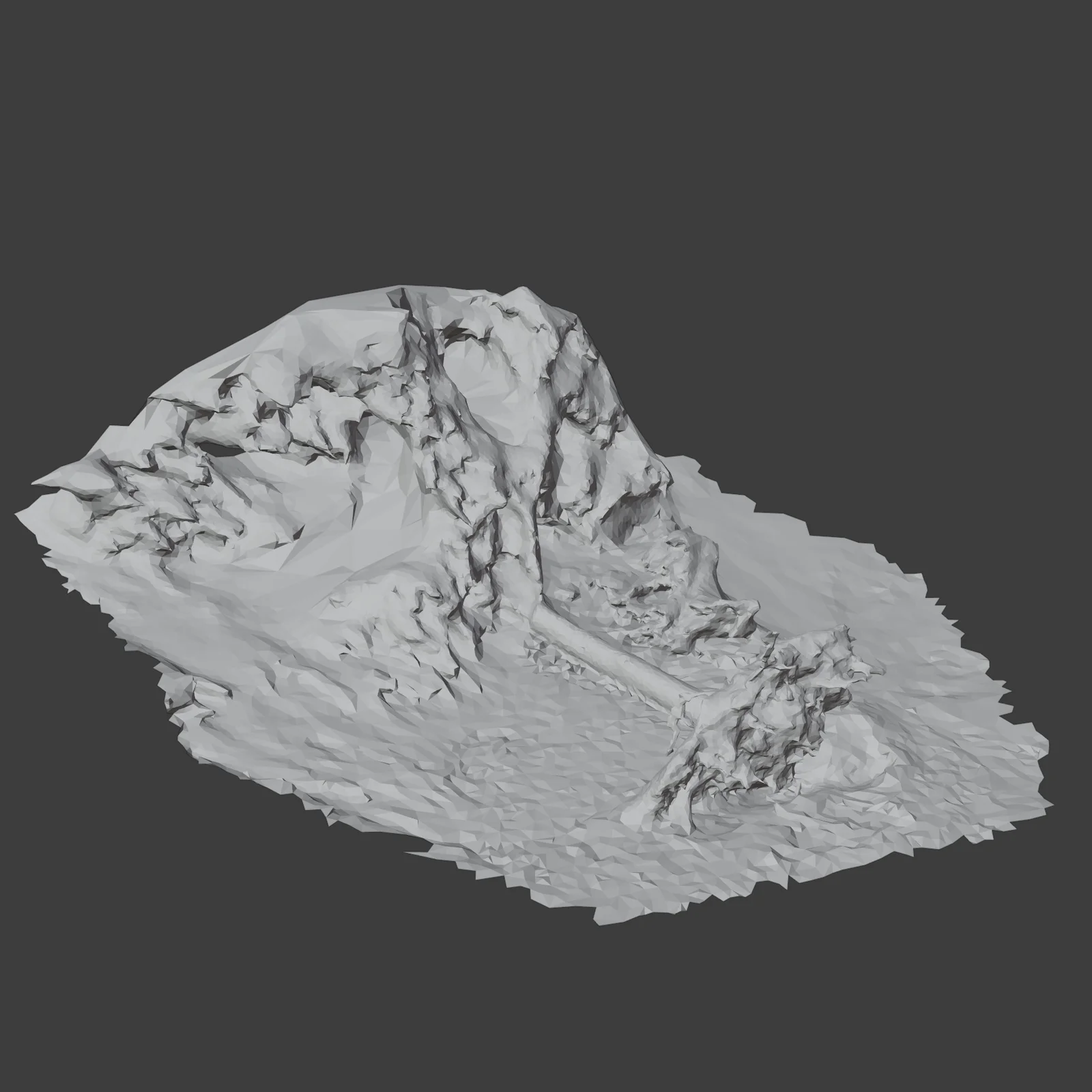 Fallen Tree Photoscan screenshot 5