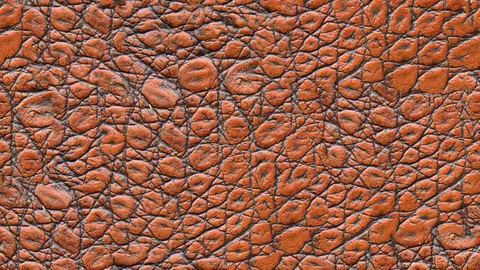 Animal Skin Textures - Blender textures & materials