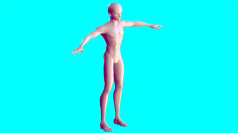 Anime Boy Base Mesh - Blender 3d models