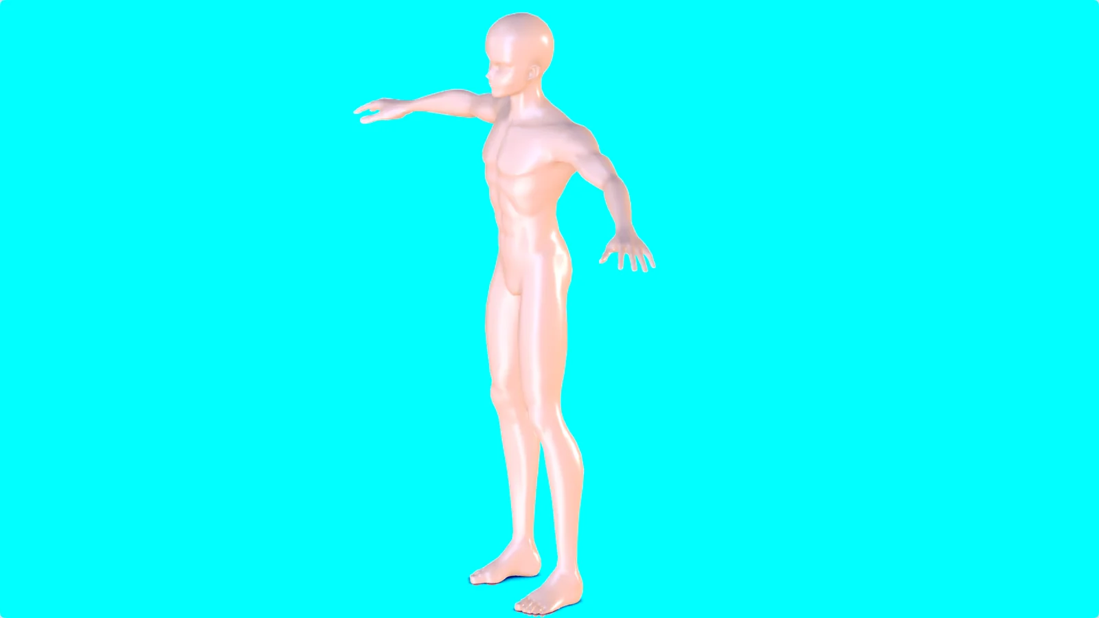 Anime Boy Base Mesh screenshot 5