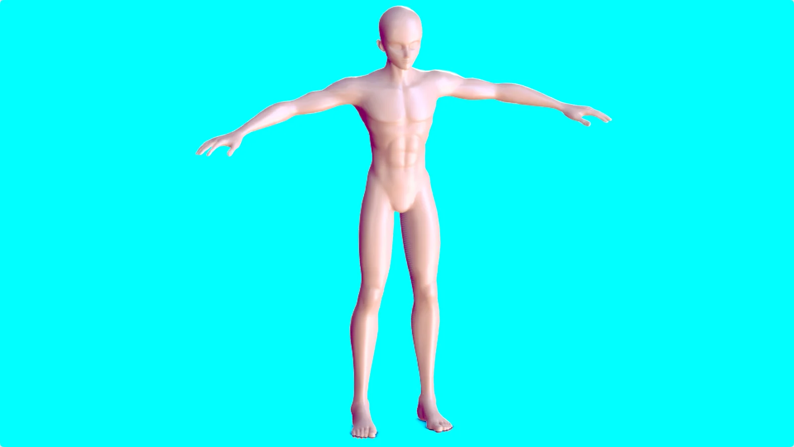 Anime Boy Base Mesh screenshot 8