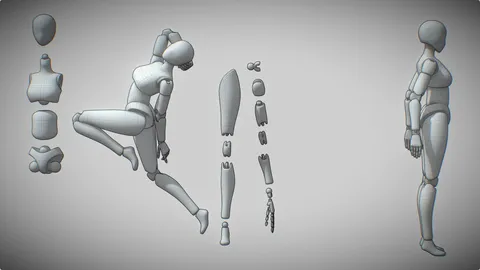 Female Ball Joint Doll Basemesh - Blender 3d models