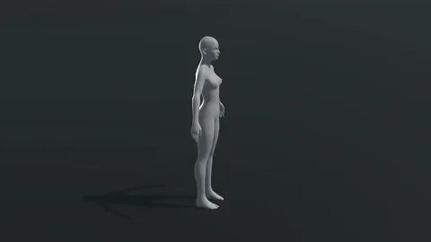 Female Body Base Mesh - Blender 3d models