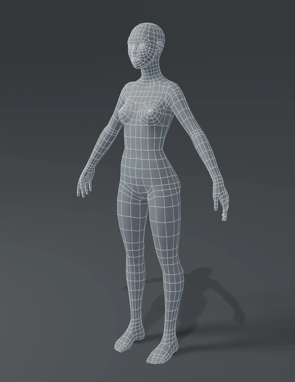 Female Body Base Mesh screenshot 2